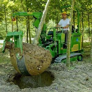 挖树机